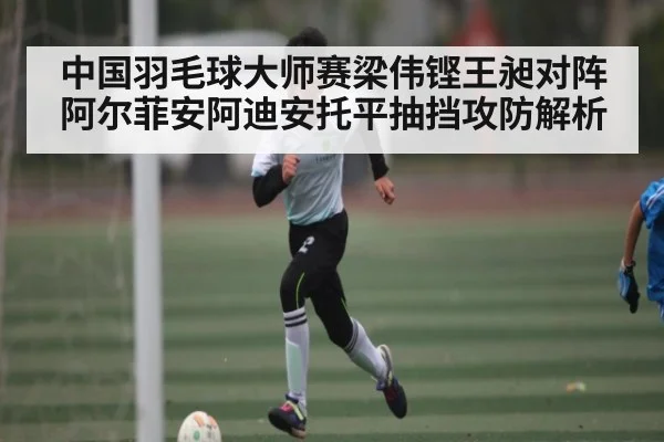 中国羽毛球大师赛梁伟铿王昶对阵阿尔菲安阿迪安托平抽挡攻防解析